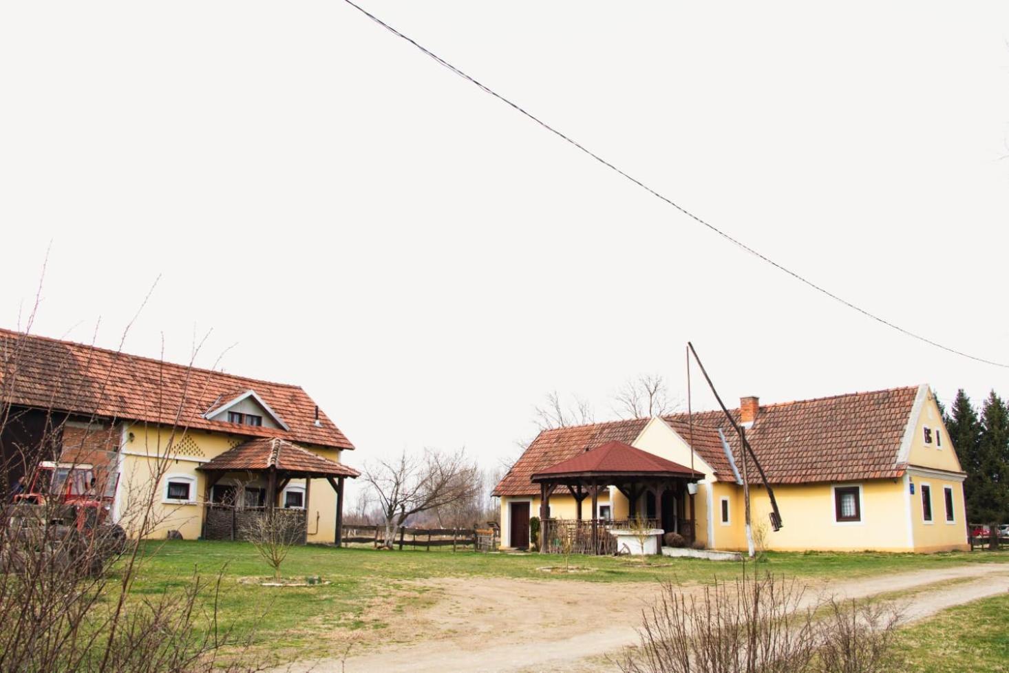 Country House Ivancan Molve Buitenkant foto