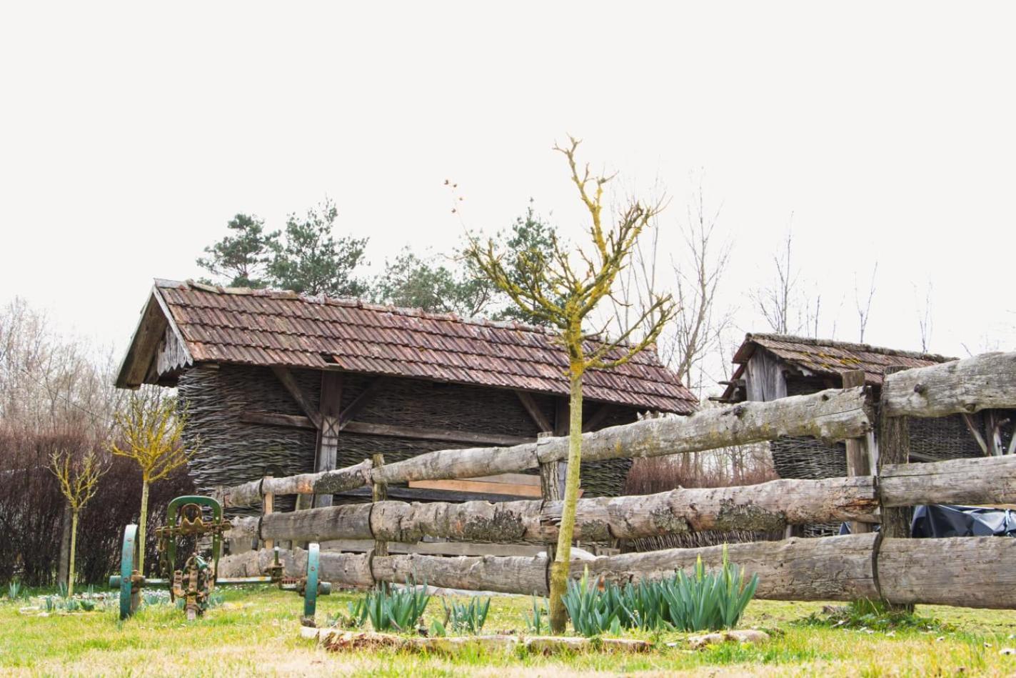 Country House Ivancan Molve Buitenkant foto