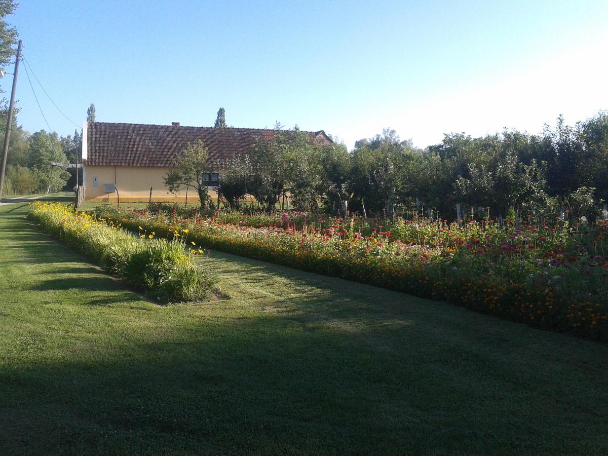 Country House Ivancan Molve Buitenkant foto